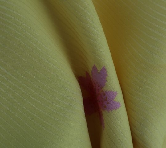 卒業式袴レンタルNo.545[2Lサイズ][シンプル]黄・ピンク白桜
